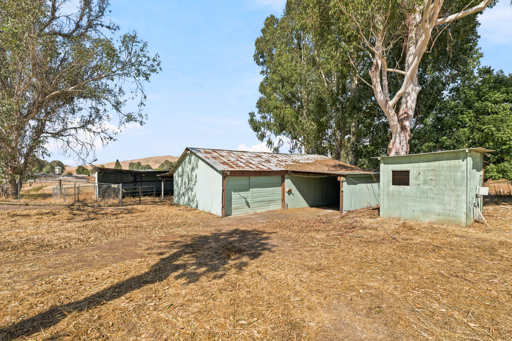  Photo 48