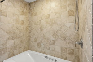 Primary Bathroom (3)