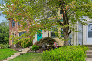 Kelly Ct-S0109-003.jpg