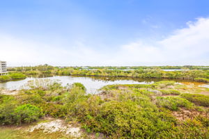 Balcony View - 495A2731