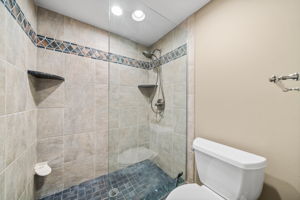 Master shower
