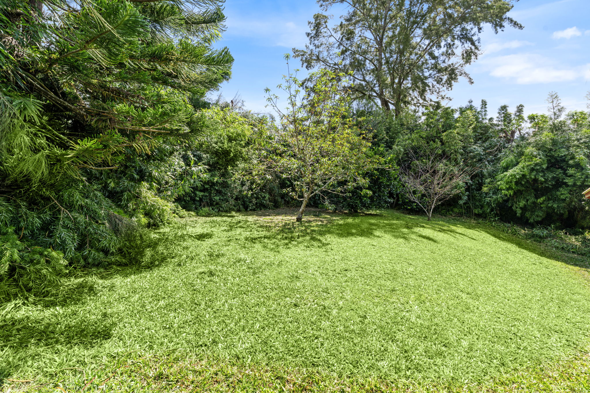 K Back Yard a