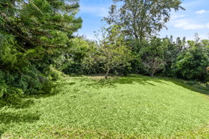 K Back Yard a