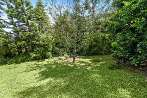 K Back Yard b