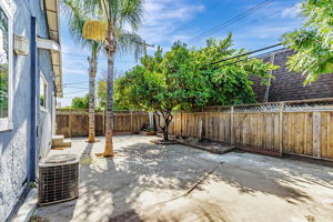 048_64 Azucar Ave_
