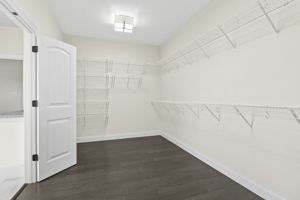 Primary Bedroom Closet