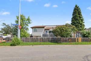  Photo 42