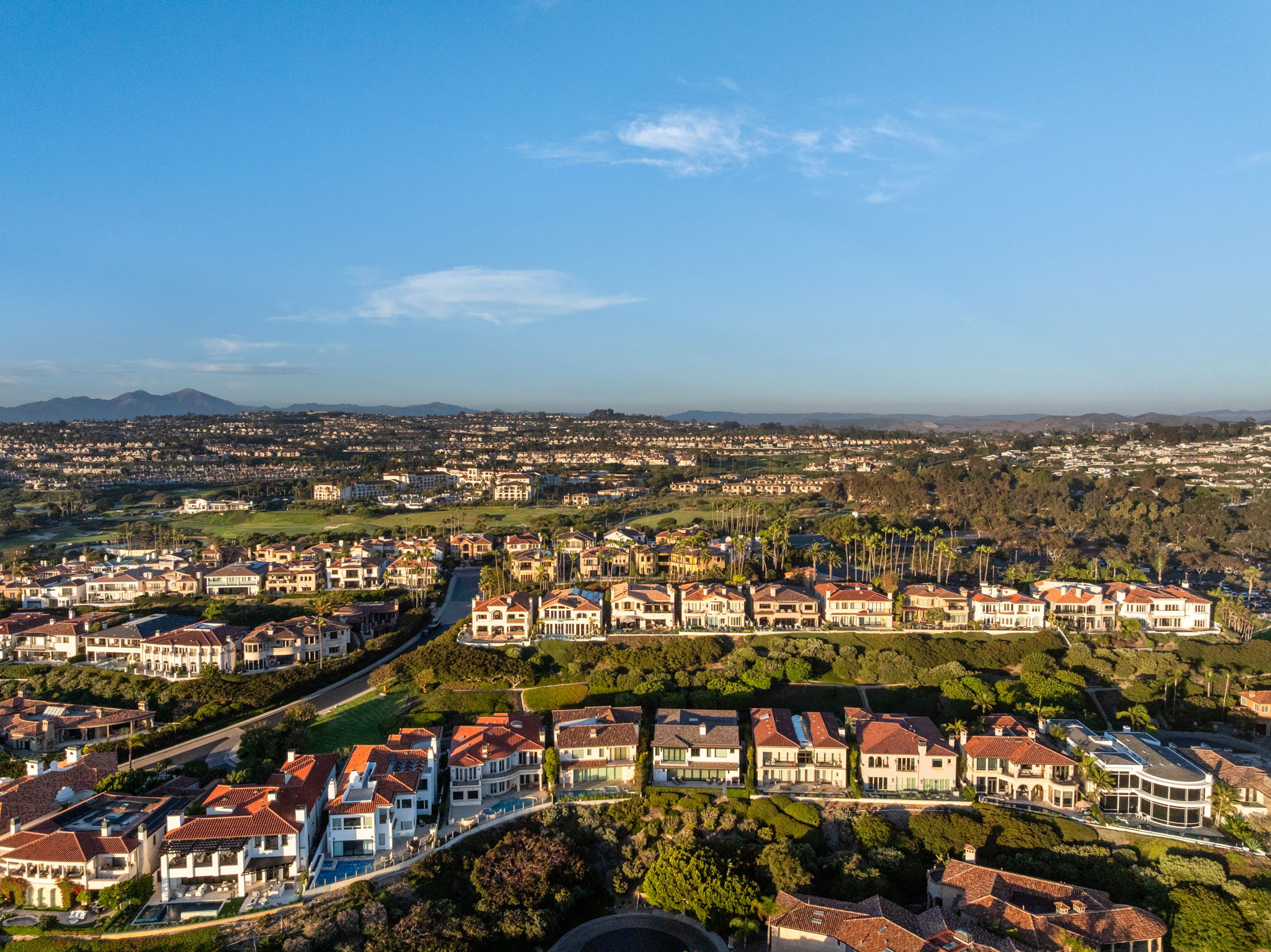 DJI_0461