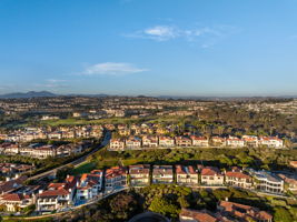 DJI_0461
