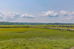 Marsh View