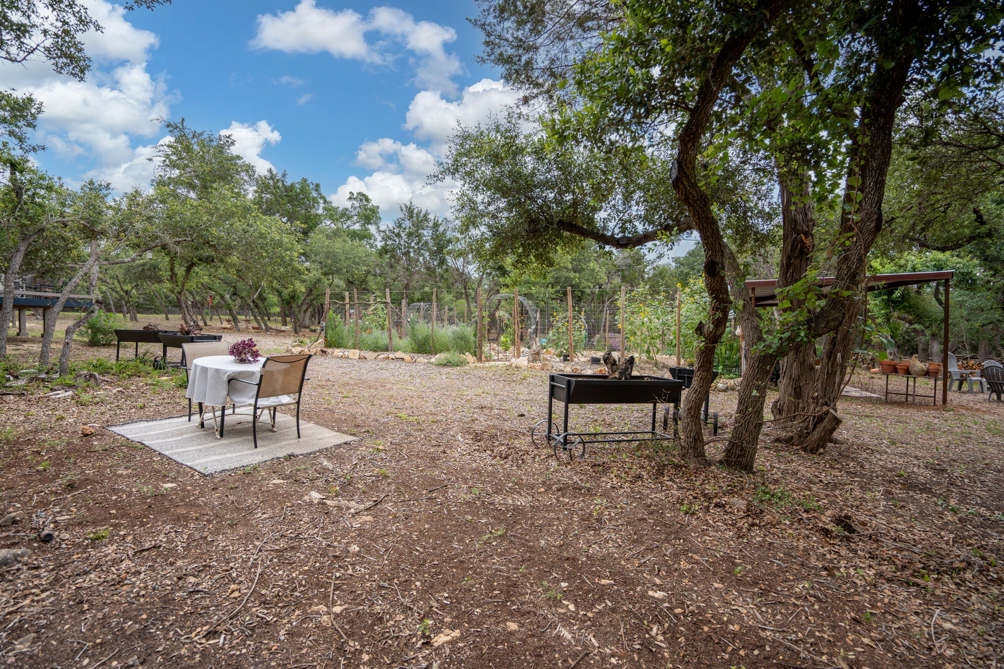 Area Behind the House