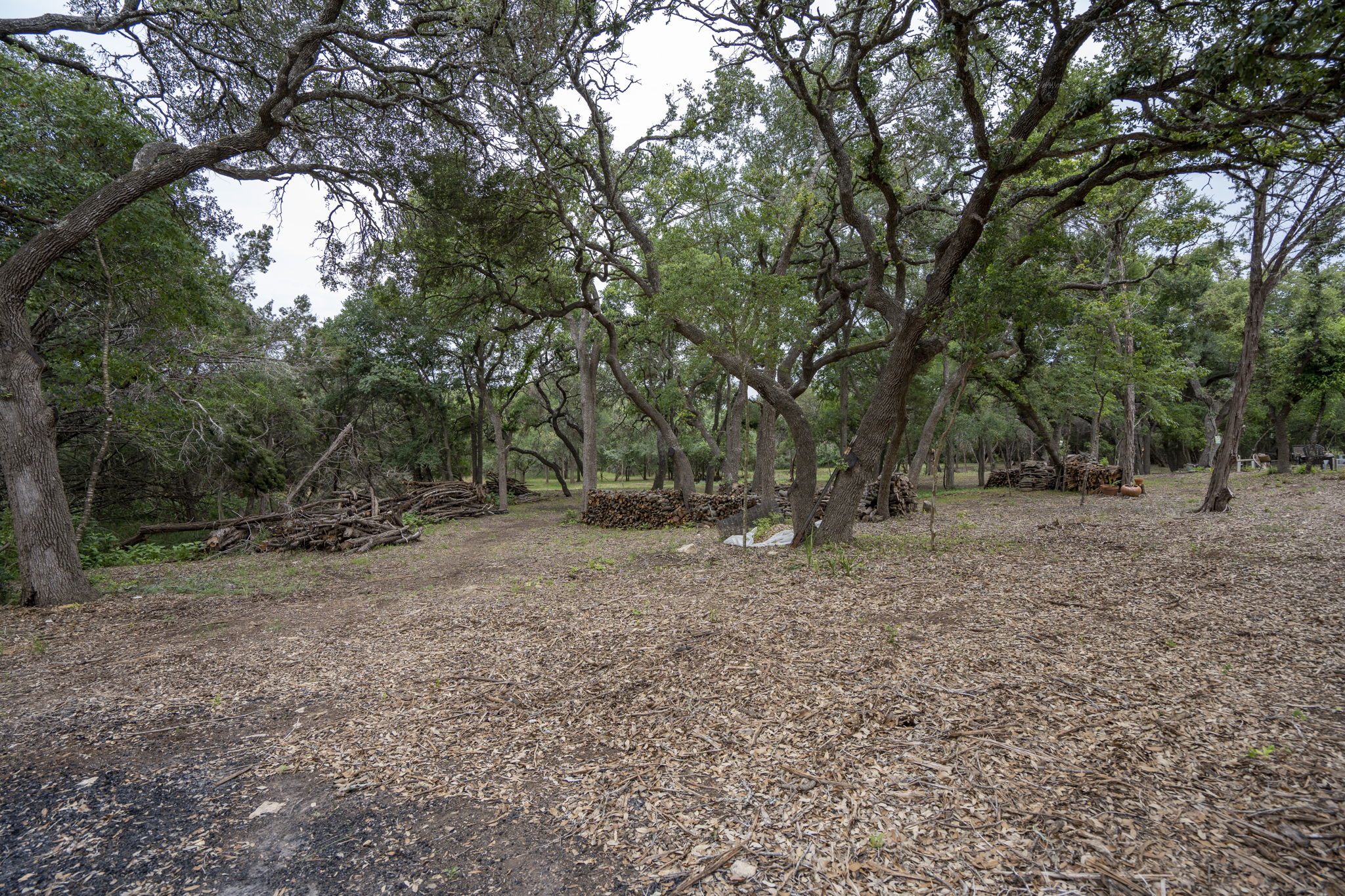 Firewood, Cedar Posts