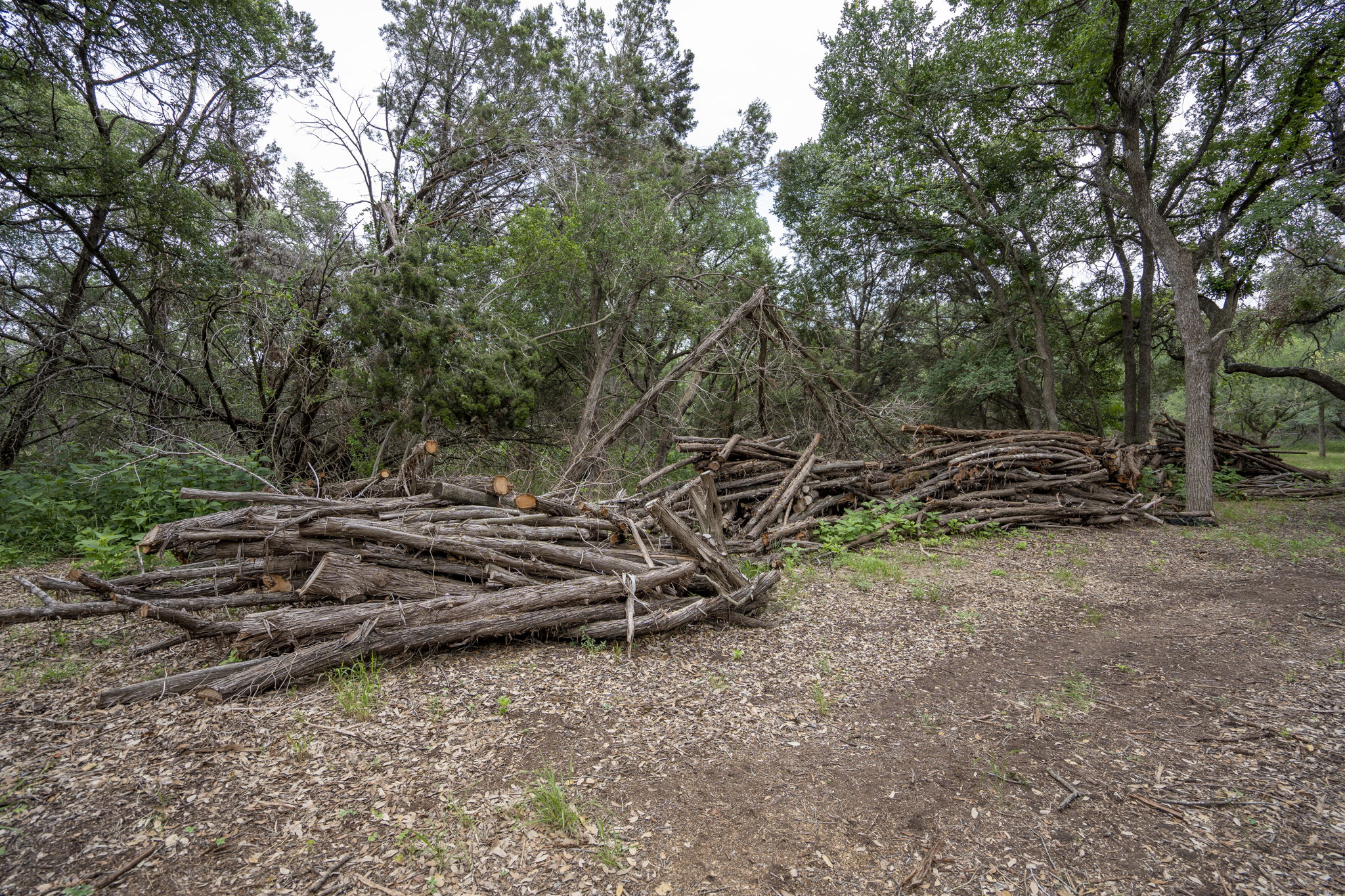 Cedar Posts For Privacy Fence, or Sale
