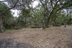 Firewood, Cedar Posts