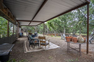 Shed Behind The Garden
