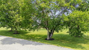  Photo 0