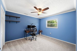  Photo 38