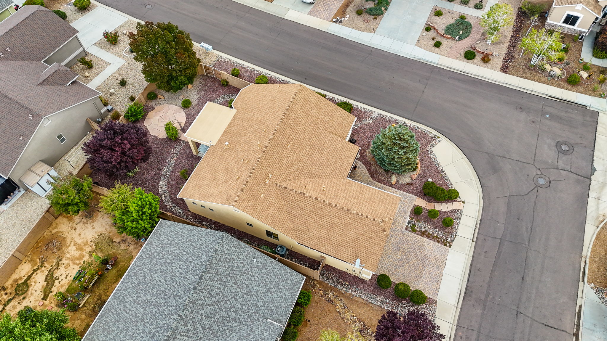 Birds Eye