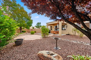 Backyard_1