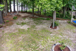  Photo 49