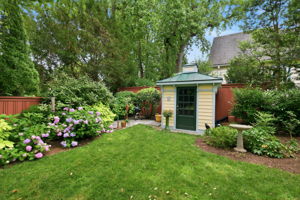  Photo 41