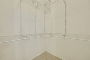  Photo 39