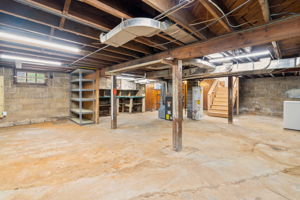 Unfinished Basement