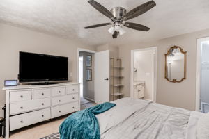 mppmedia6413wedgewoodtrce18