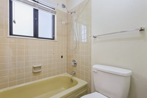Hall Bathroom