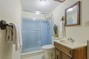 Lower-Level Bathroom