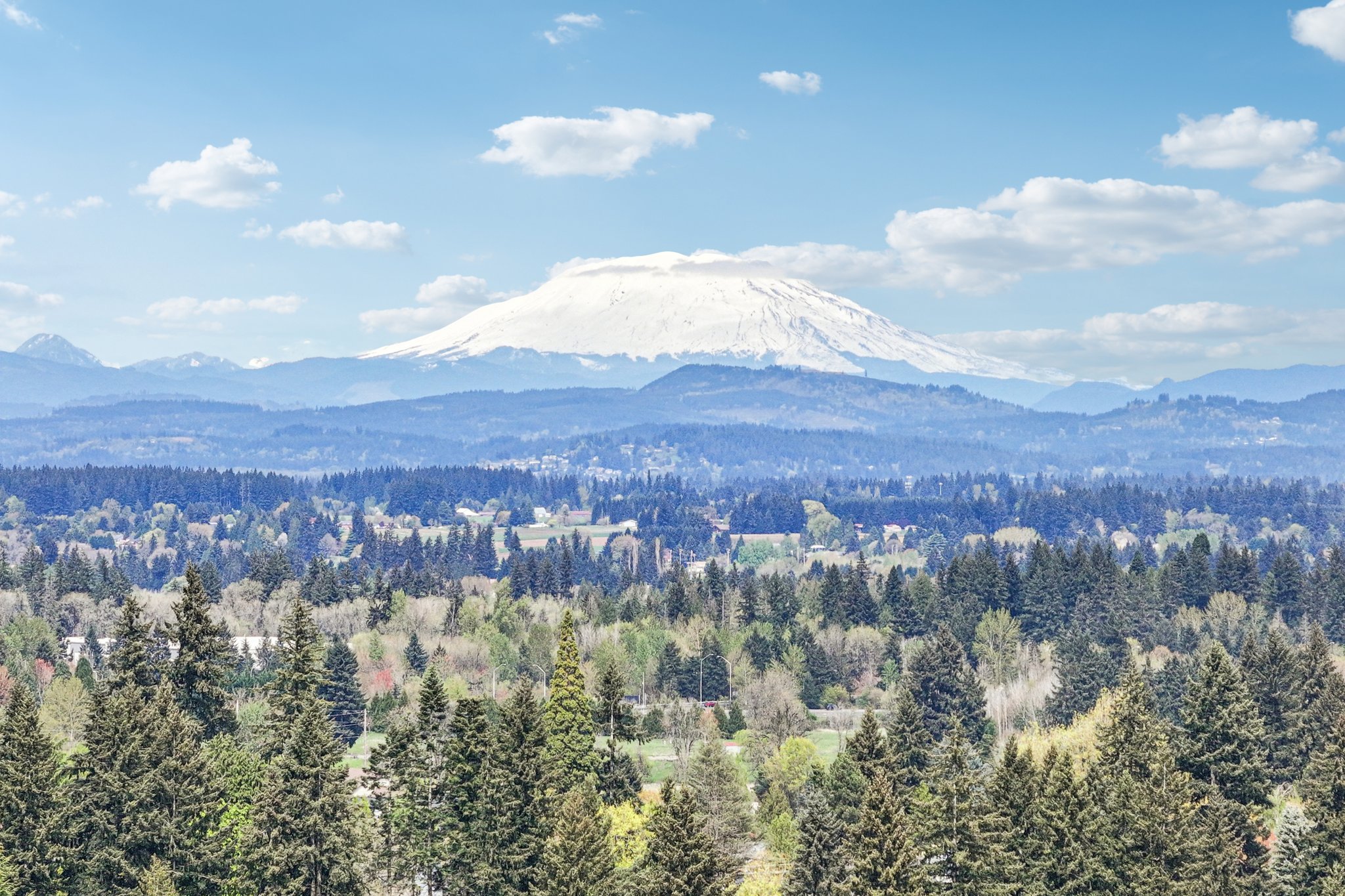 NE 64th Rd-S1804-064.jpg