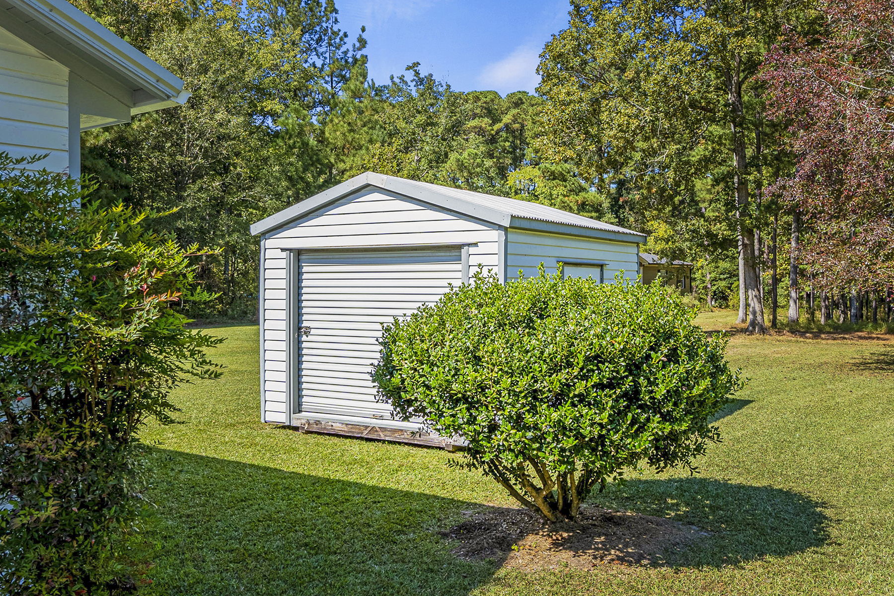 Shed