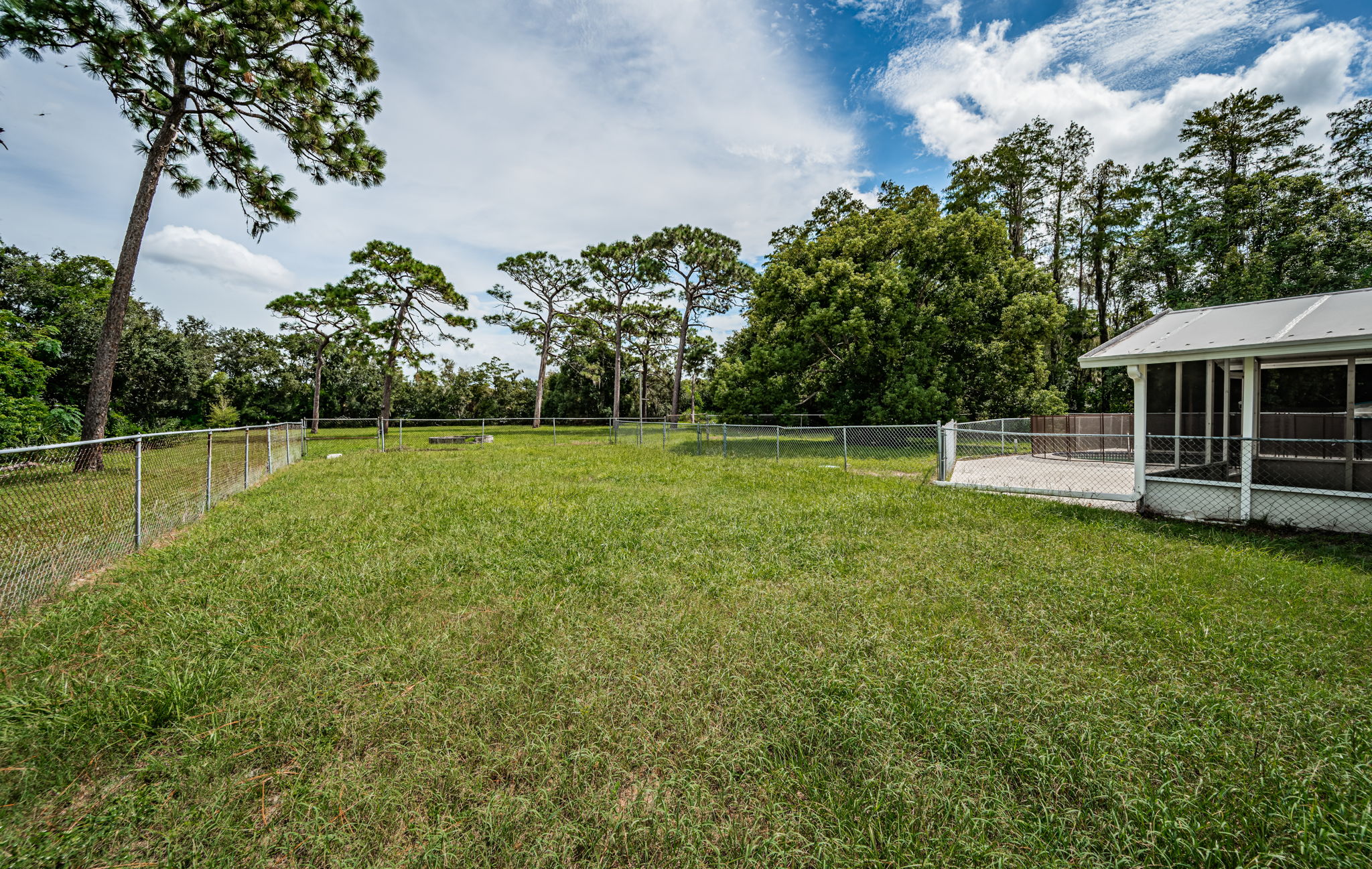 Fenced Backyard1a