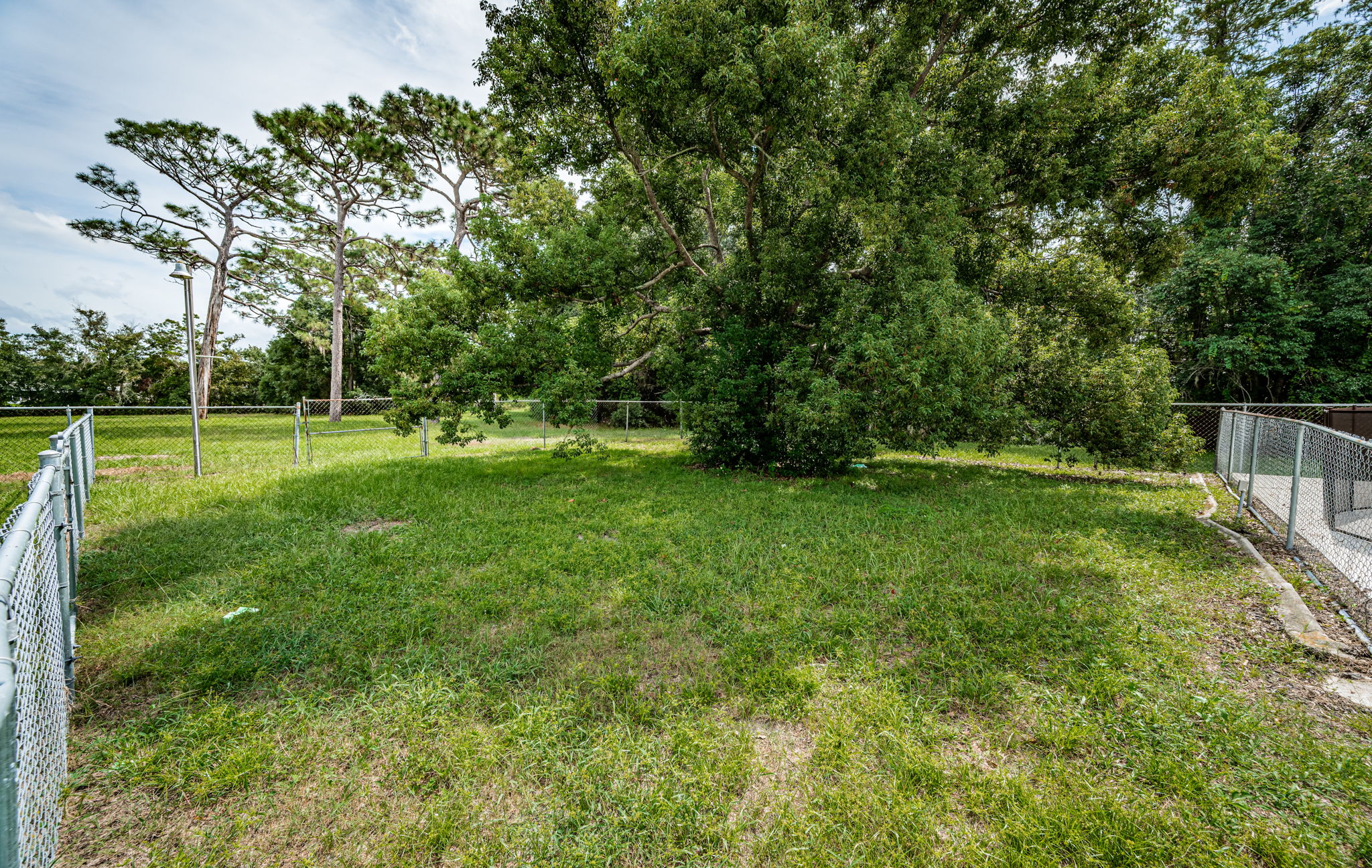 Fenced Backyard2a