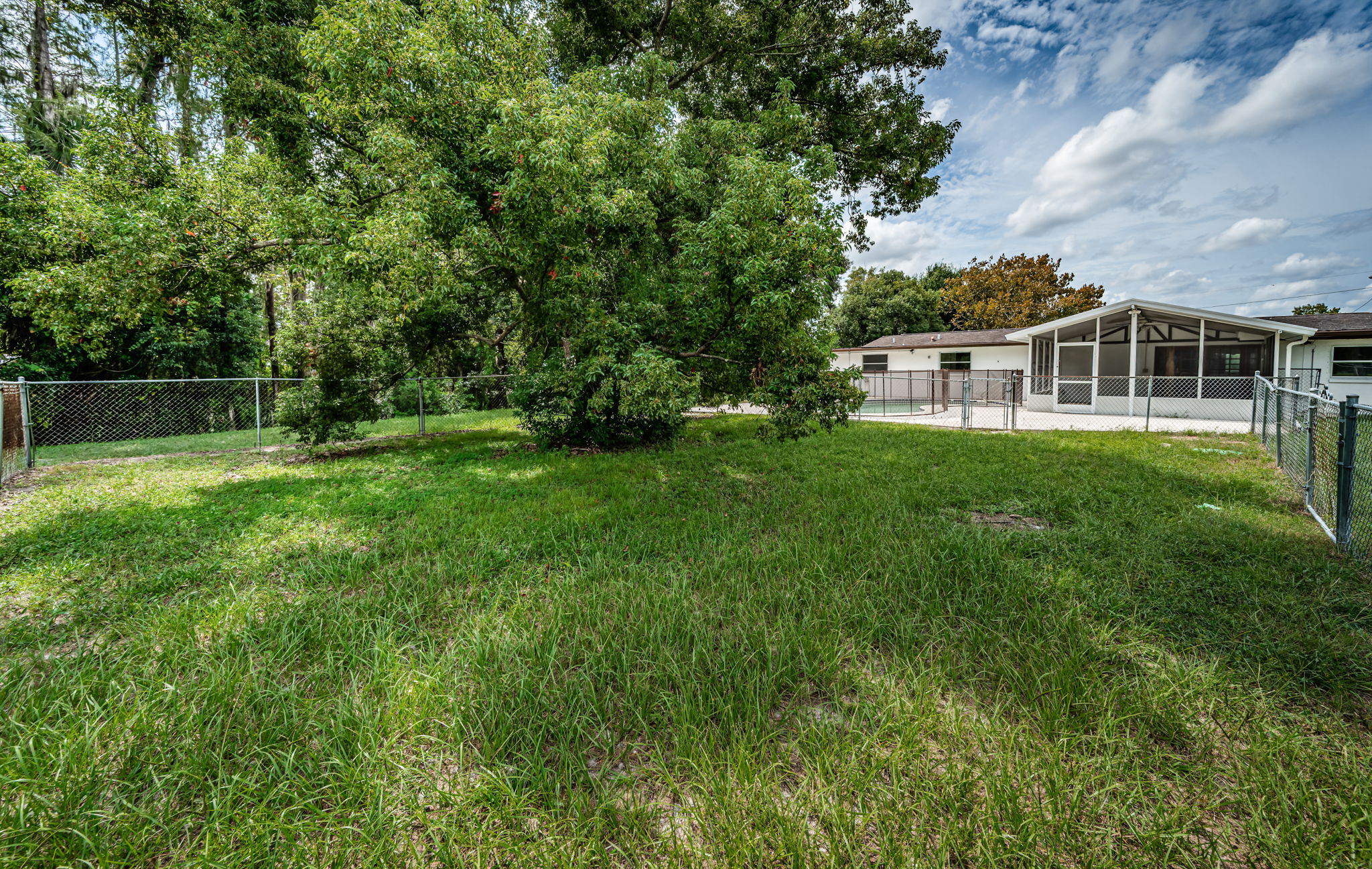 Fenced Backyard2b