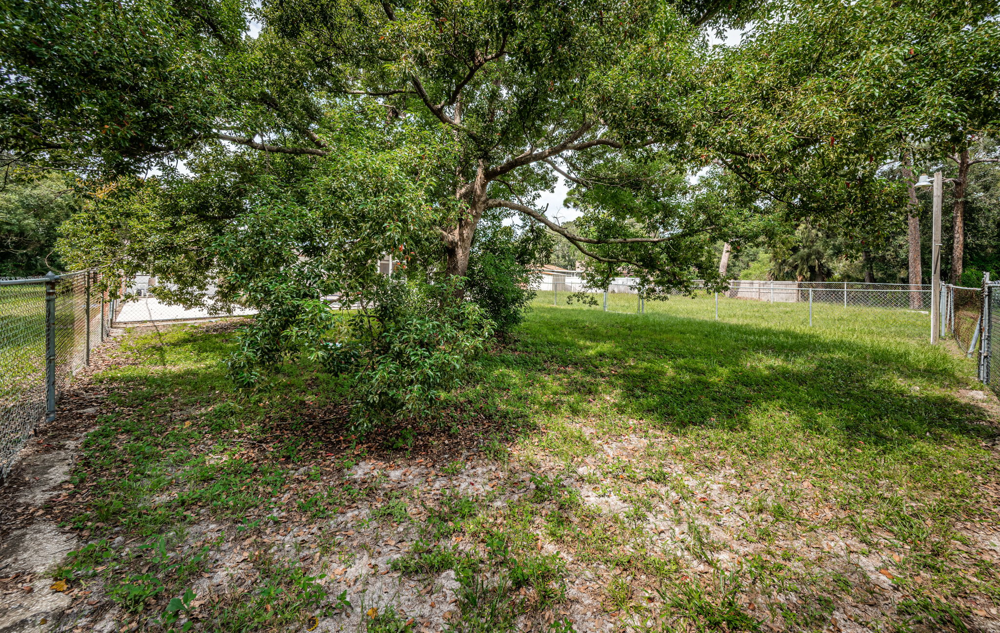 Fenced Backyard2c