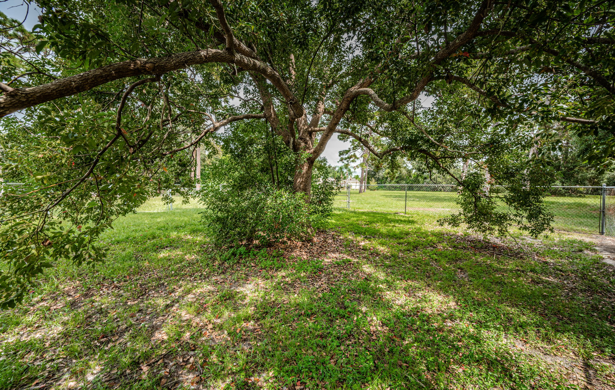 Fenced Backyard2d