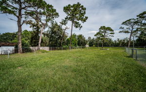 Fenced Backyard1d