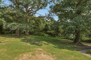 25-Backyard
