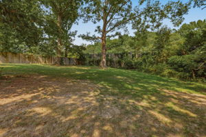 26-Backyard