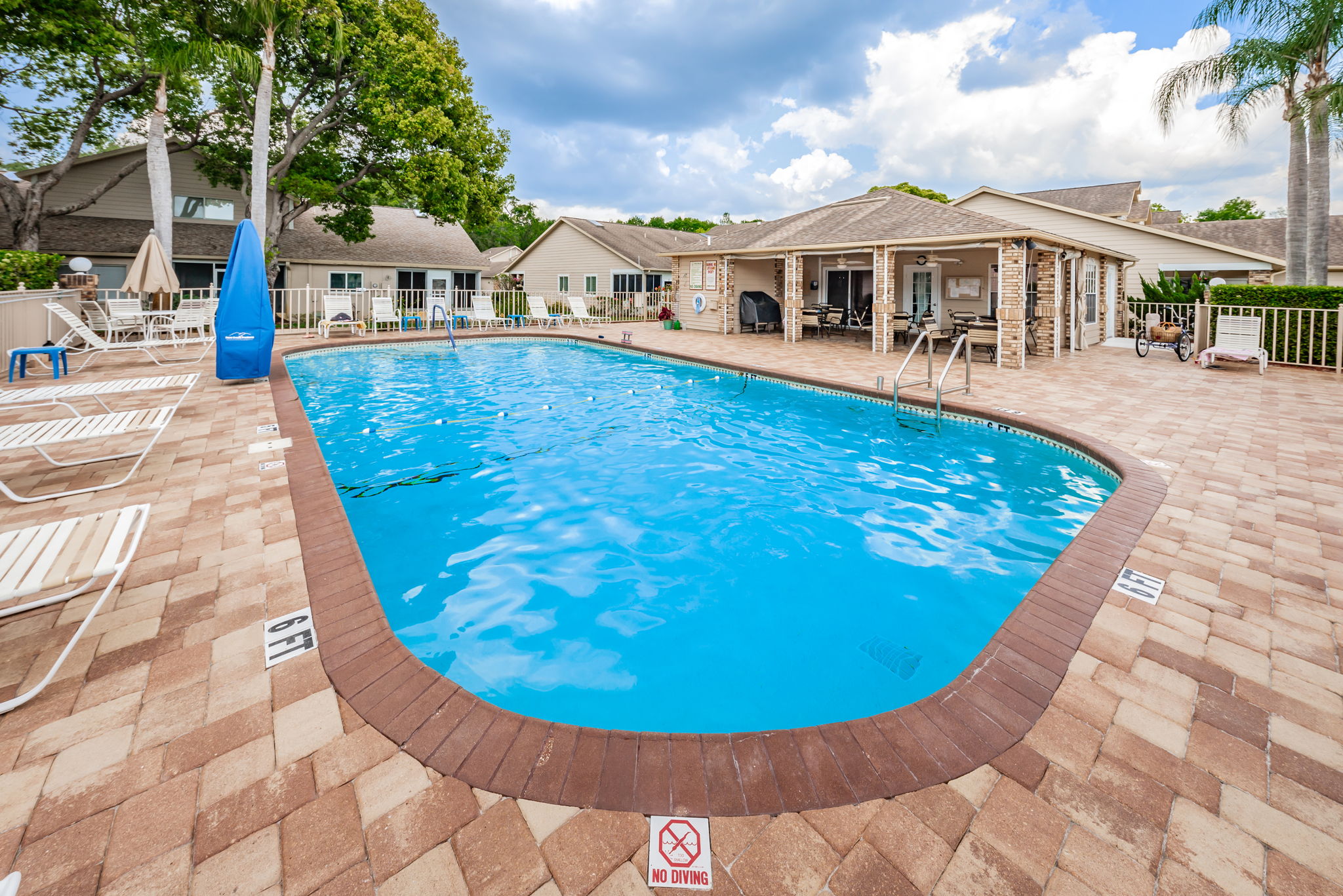 5-Briar Patch Pool