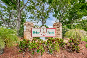 1-Briar Patch