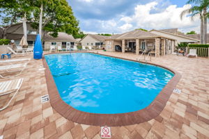 5-Briar Patch Pool