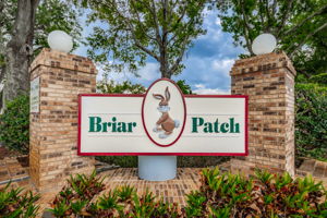 12-Briar Patch