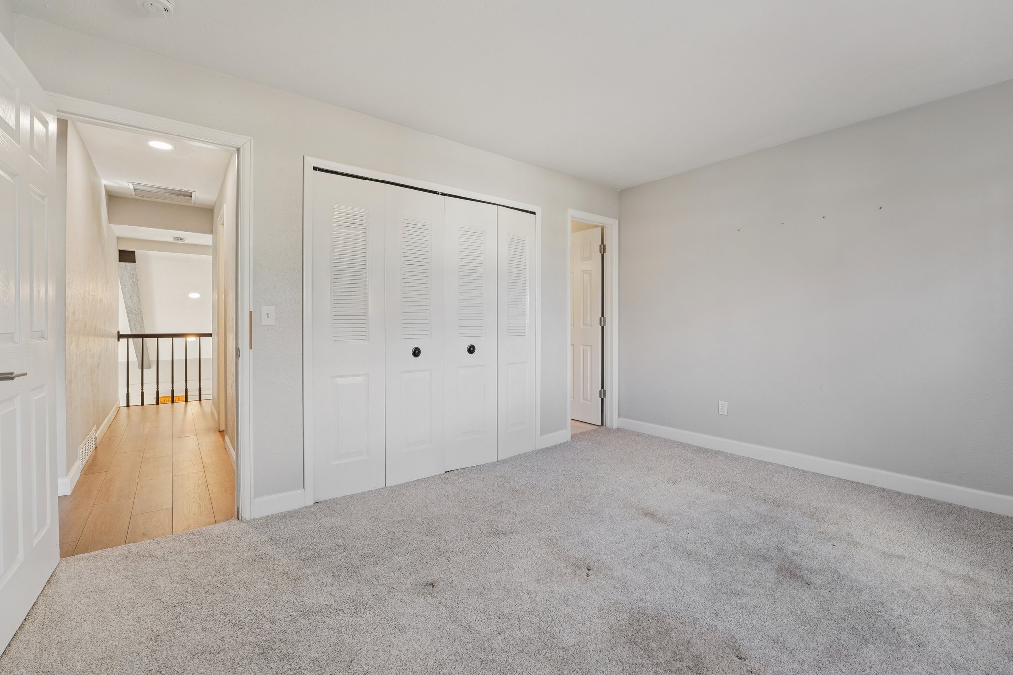 Zang Ct-S1803-022.jpg