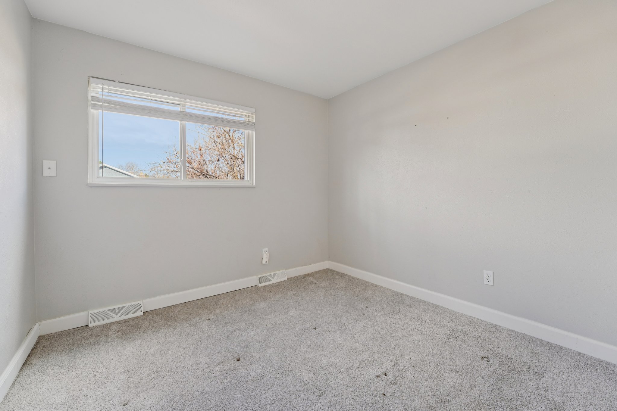 Zang Ct-S1803-025.jpg