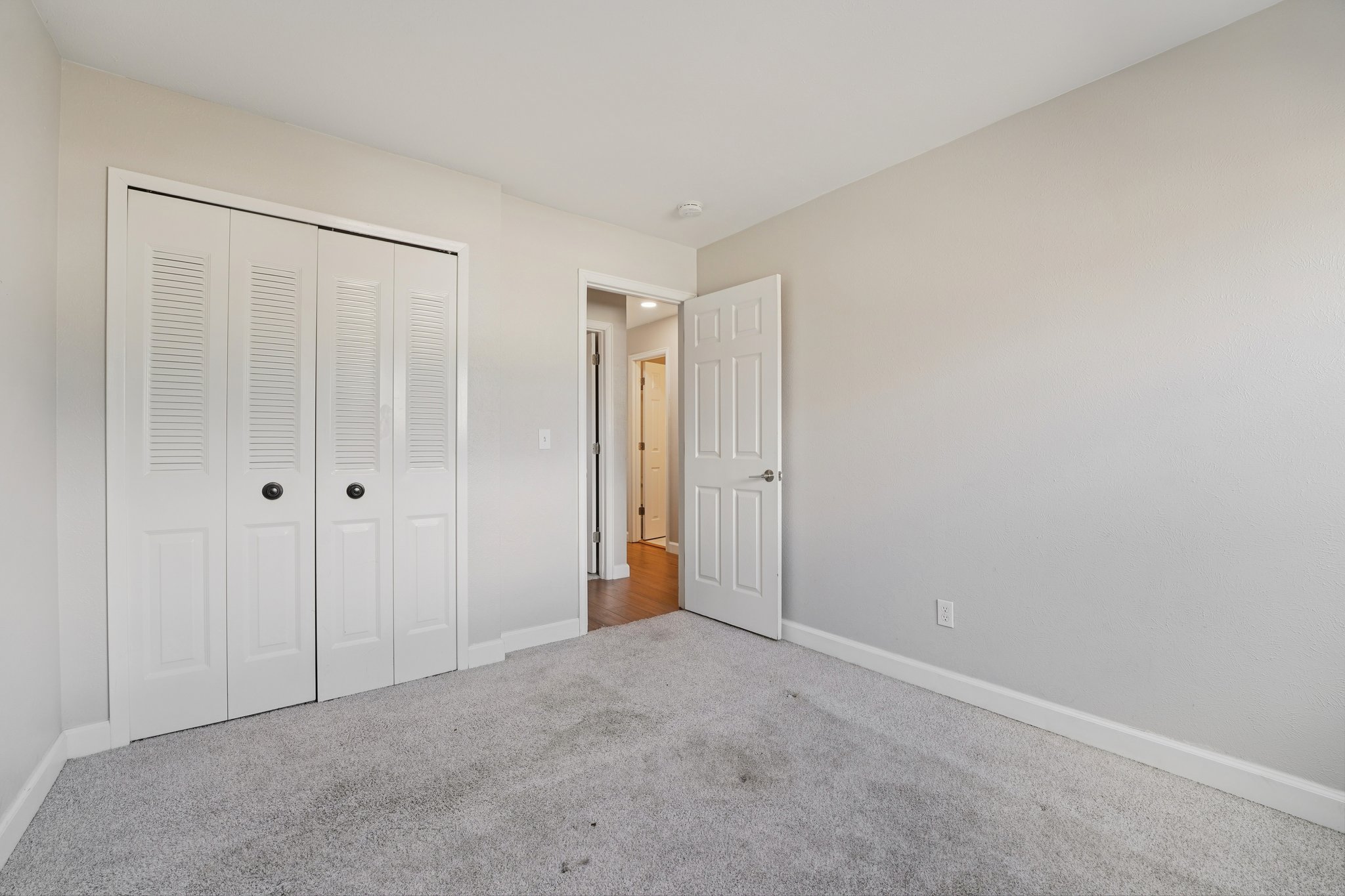 Zang Ct-S1803-026.jpg