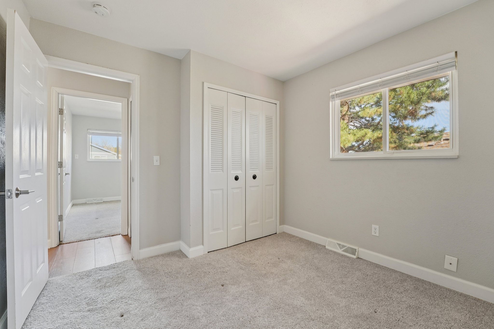 Zang Ct-S1803-028.jpg