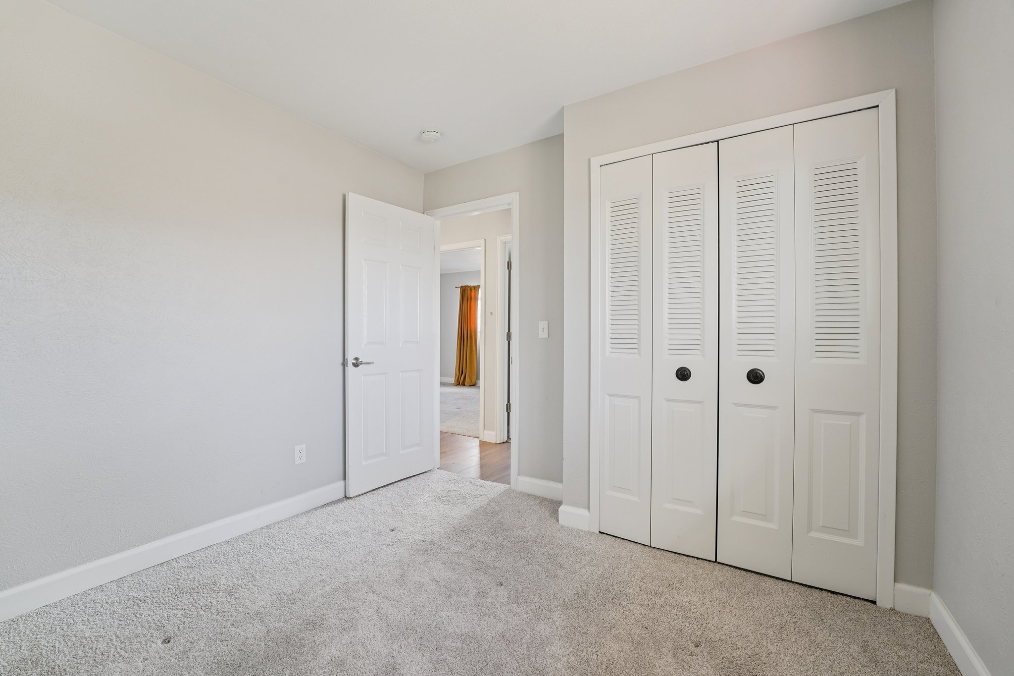 Zang Ct-S1803-029.jpg