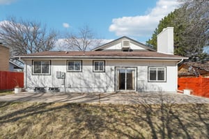 Zang Ct-S1803-034.jpg